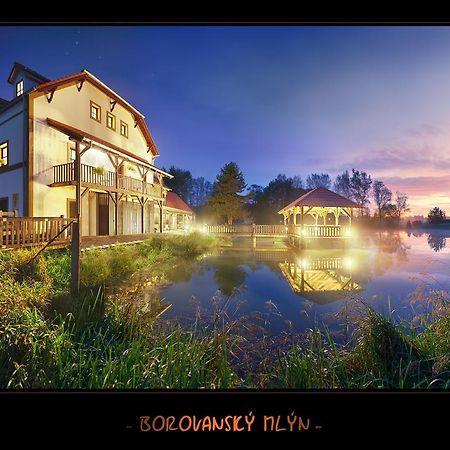Borovansky Mlyn Borovany  Exterior foto